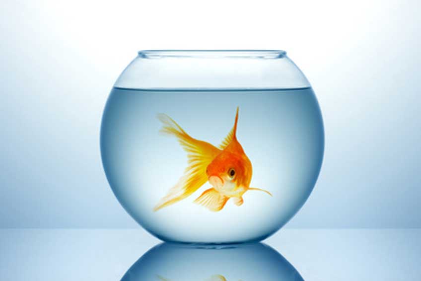 Education Malpractices