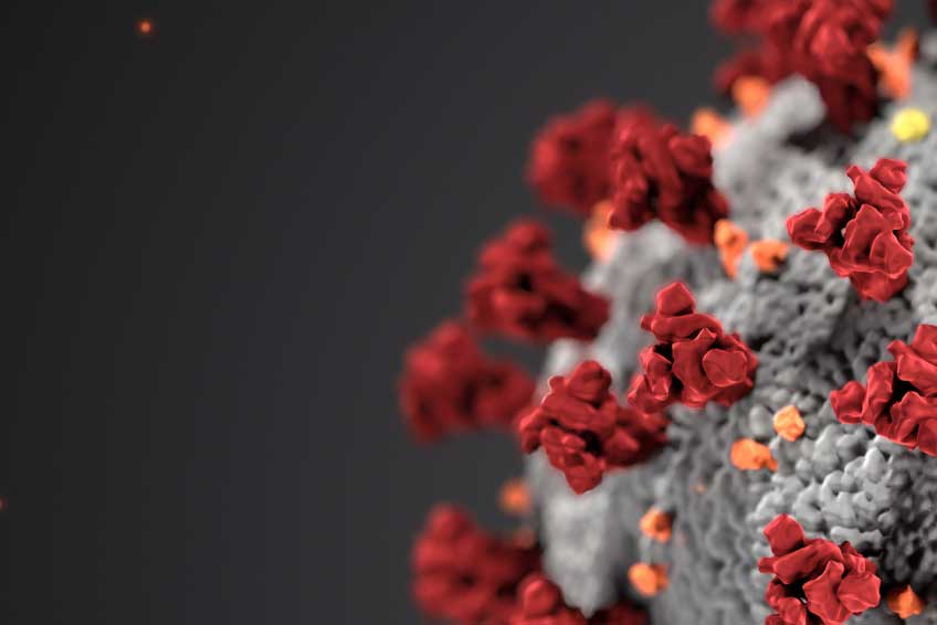 What is CoronaVirus?